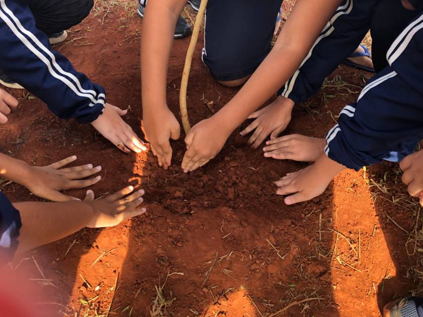 ÁRVORES SÃO PLANTADAS NO RESIDENCIAL FREI GALVÃO E VILA ASSIS