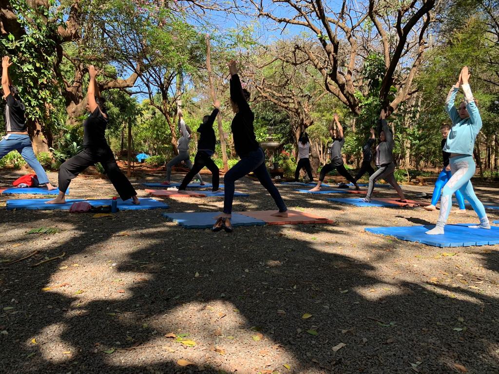 HORTO FLORESTAL É CENÁRIO PARA PRÁTICA DE YOGA