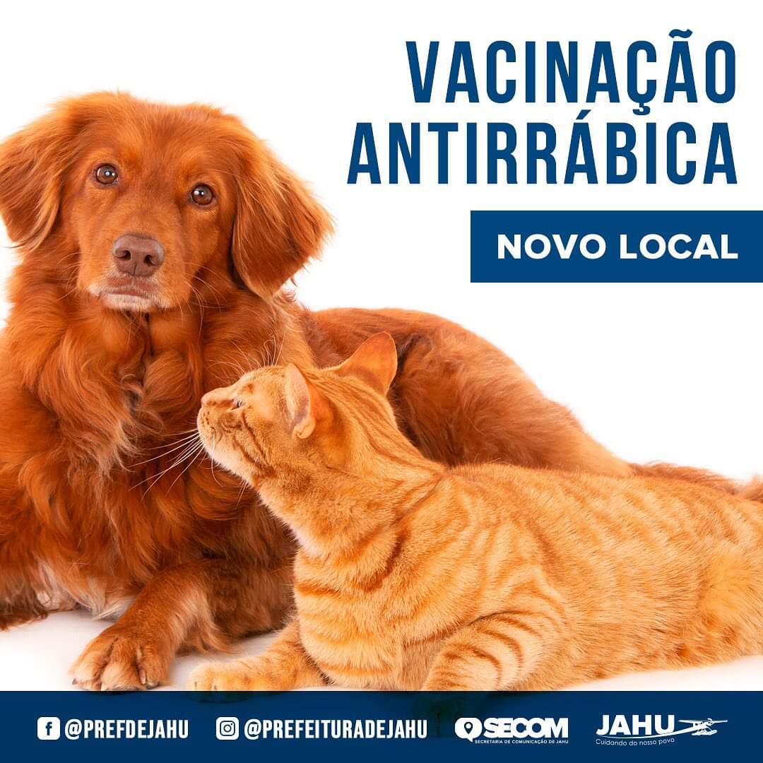 VACINAÇÃO ANTIRRÁBICA NO POUSO ALEGRE
