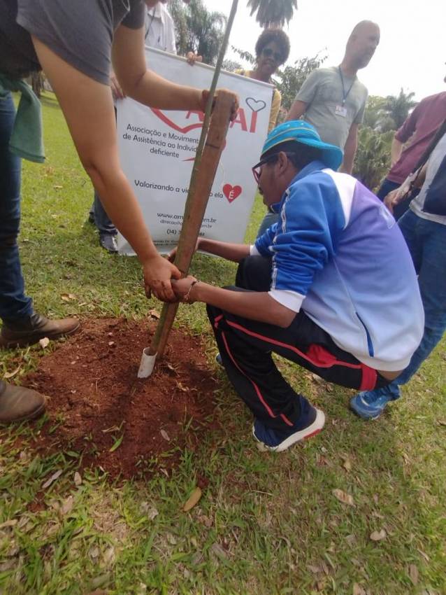PRAÇA DO MUSEU RECEBE MAIS ÁRVORES E PLANTA ORNAMENTAL