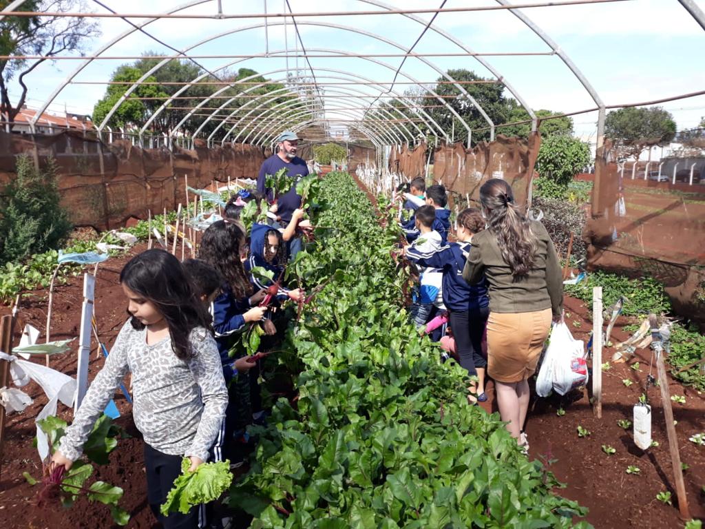 ESTUDANTES VISITAM HORTA NO JARDIM ITAMARATI