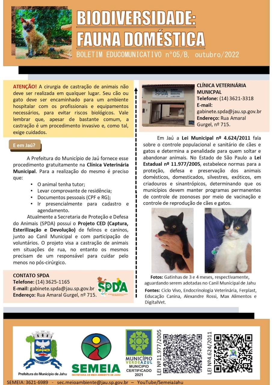 IMPORTÂNCIA DA CASTRAÇÃO PARA O ANIMAL