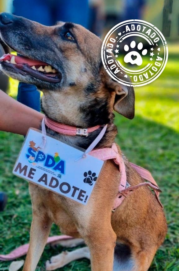 FEDERAL E NATASHA ESTÃO DE CASA NOVA