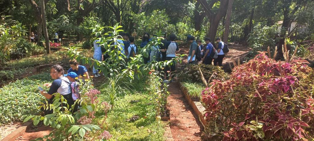 ESTUDANTES CONHECEM ATRATIVOS DO HORTO MUNICIPAL