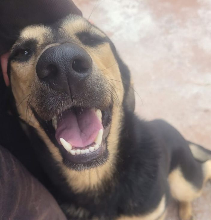 A DIVA QUE CURTE DIVAR