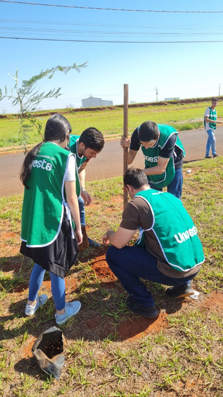AVENIDA FREI GALVÃO É VALORIZADA COM MUDAS DE ÁRVORES