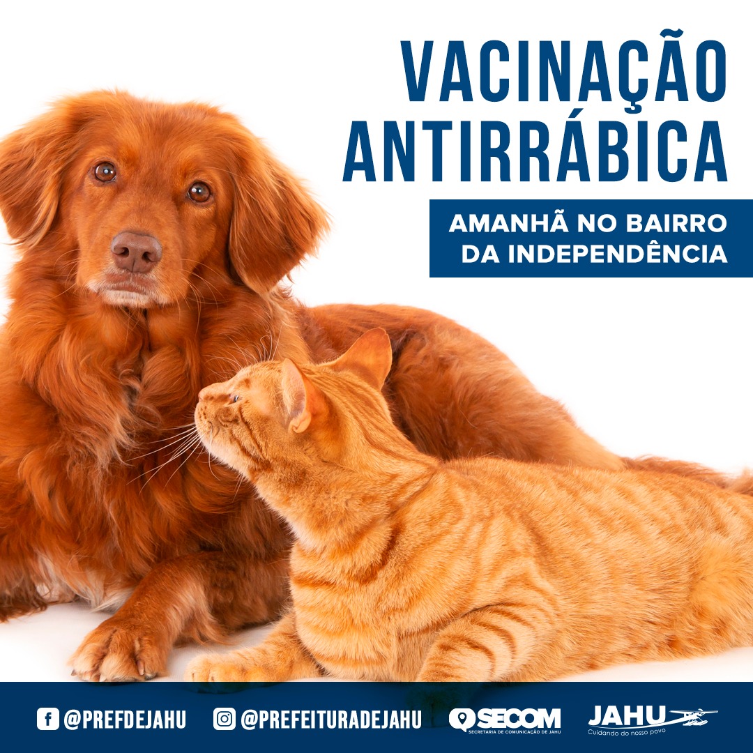 AMANHÃ TEM VACINAÇÃO ANTIRRÁBICA NO BAIRRO DA INDEPENDÊNCIA