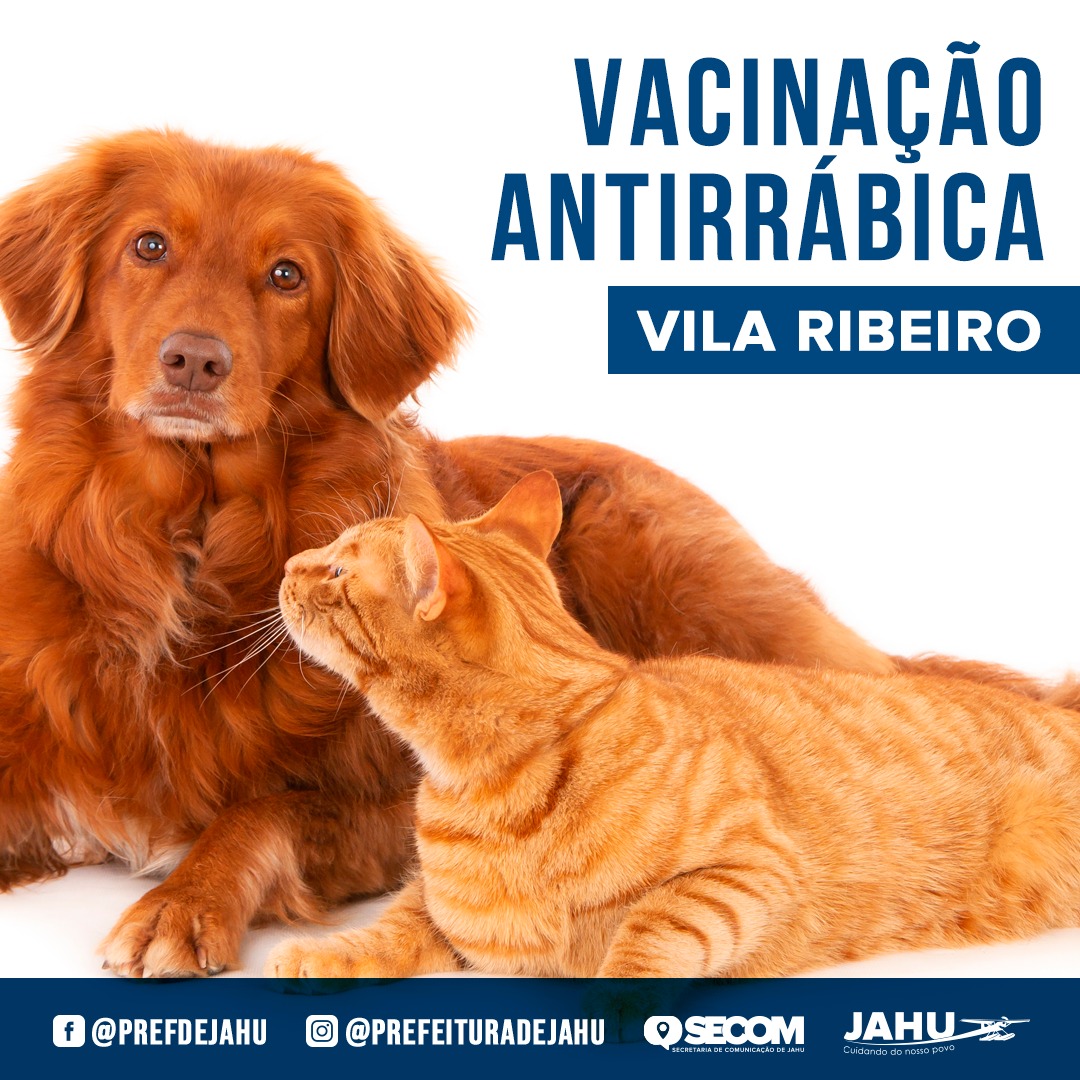 VACINAÇÃO ANTIRRÁBICA NA VILA RIBEIRO