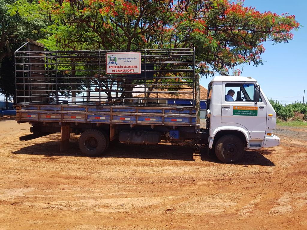 CAMINHÃO DE RECOLHA DE ANIMAIS PERCORRE JAHU E POTUNDUVA