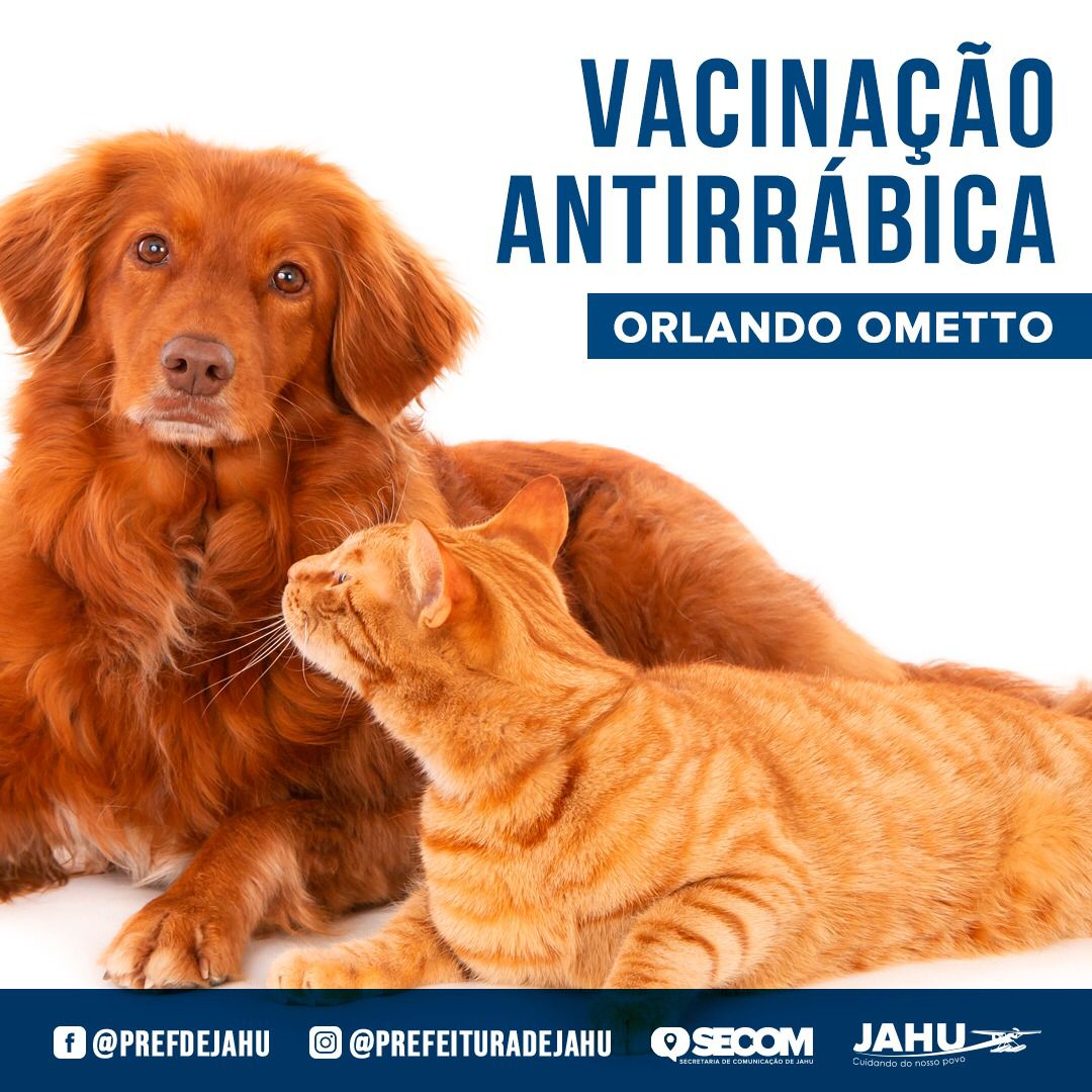 PREFEITURA REALIZA VACINAÇÃO ANTIRRÁBICA NO ORLANDO OMETTO