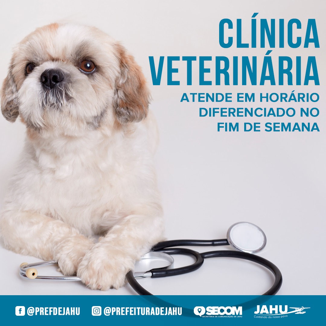 CLÍNICA VETERINÁRIA ATENDE EM HORÁRIO DIFERENCIADO NO FIM DE SEMANA