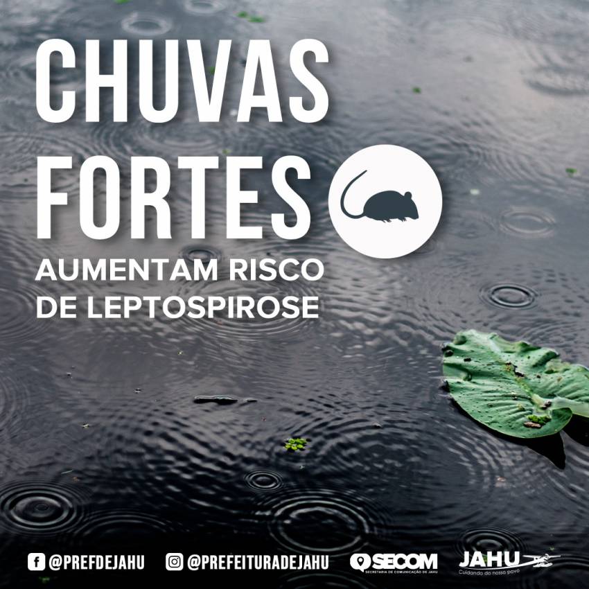 CHUVAS FORTES AUMENTAM RISCO DE LEPTOSPIROSE