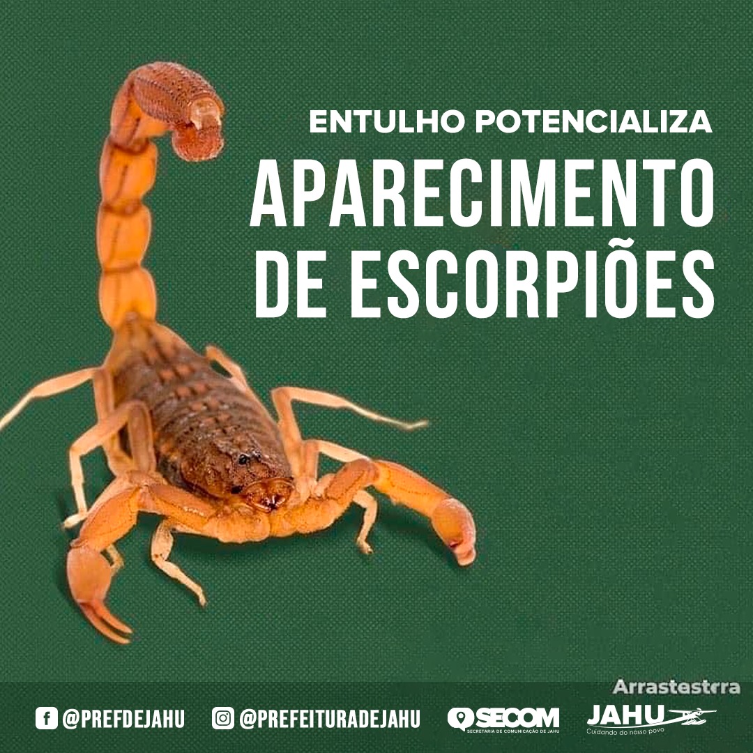 ENTULHO POTENCIALIZA APARECIMENTO DE ESCORPIÕES