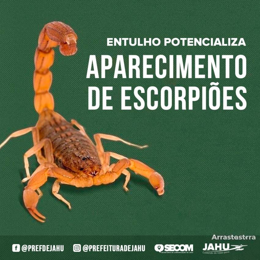 ENTULHO POTENCIALIZA APARECIMENTO DE ESCORPIÕES