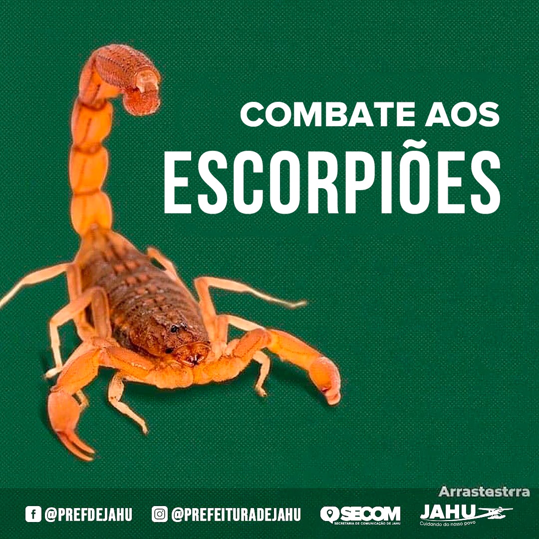 COMBATE AOS ESCORPIÕES