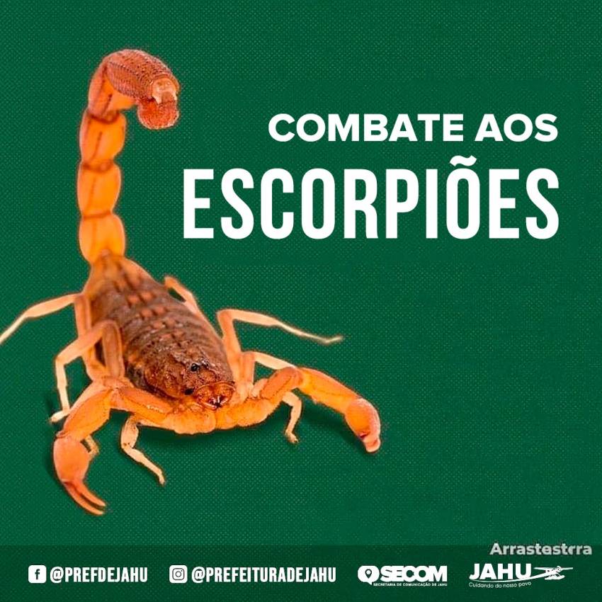 COMBATE AOS ESCORPIÕES
