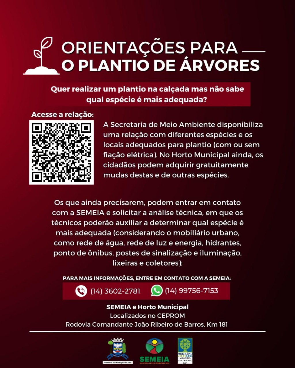 ORIENTAÇÕES DE ÁRVORES ADEQUADAS AO AMBIENTE URBANO