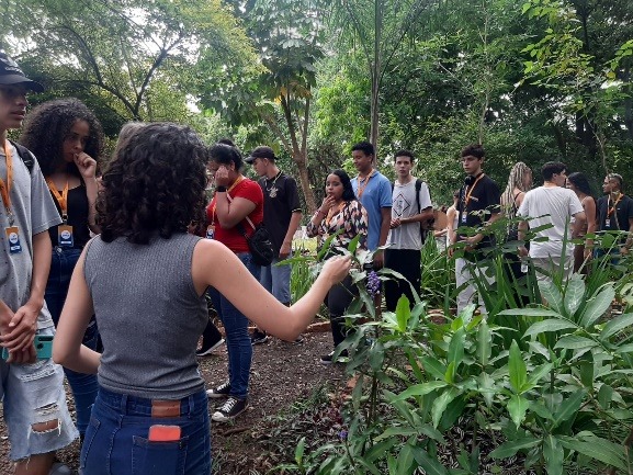 MAIS DE 80 PESSOAS VISITAM O HORTO MUNICIPAL DURANTE FÉRIAS