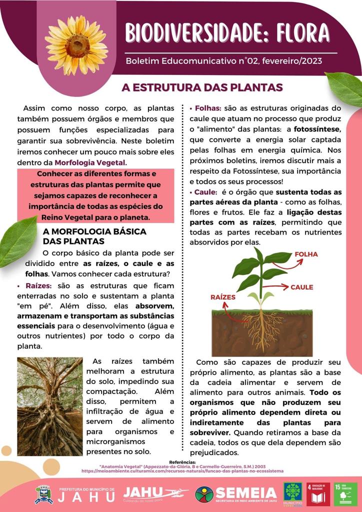CONHECENDO AS PARTES BÁSICAS DAS PLANTAS