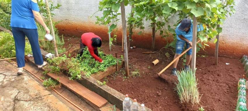 CAPS UTILIZA CULTIVO DE HORTALIÇAS COMO TERAPIA ALTERNATIVA