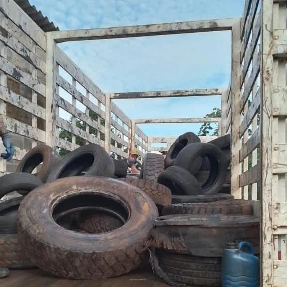 RECOLHA DE PNEUS