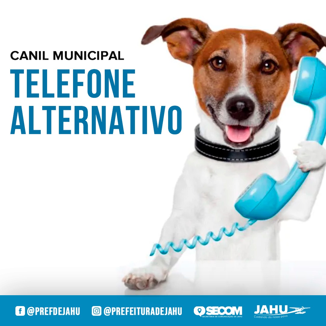 CANIL MUNICIPAL FUNCIONA COM TELEFONE ALTERNATIVO