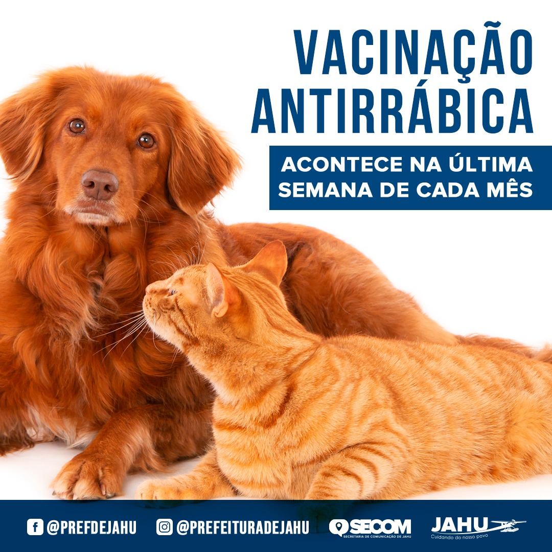 VACINAÇÃO ANTIRRÁBICA ACONTECE NA ÚLTIMA SEMANA DE CADA MÊS