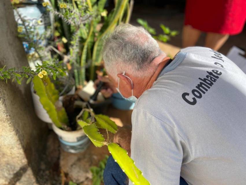 PREVENÇÃO E CONTROLE DA DENGUE