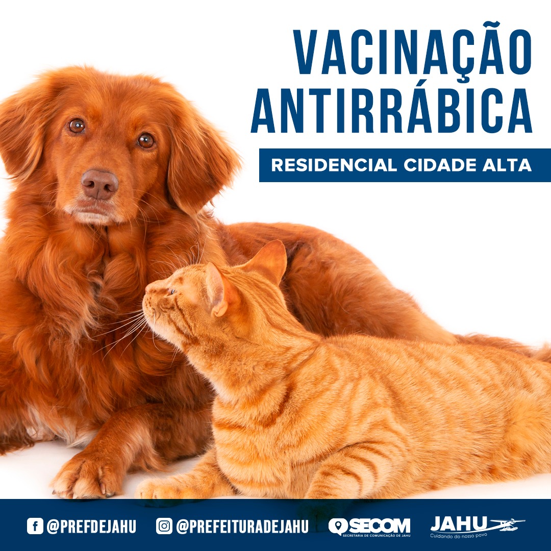 VACINAÇÃO ANTIRRÁBICA HOJE NO RESIDENCIAL CIDADE ALTA