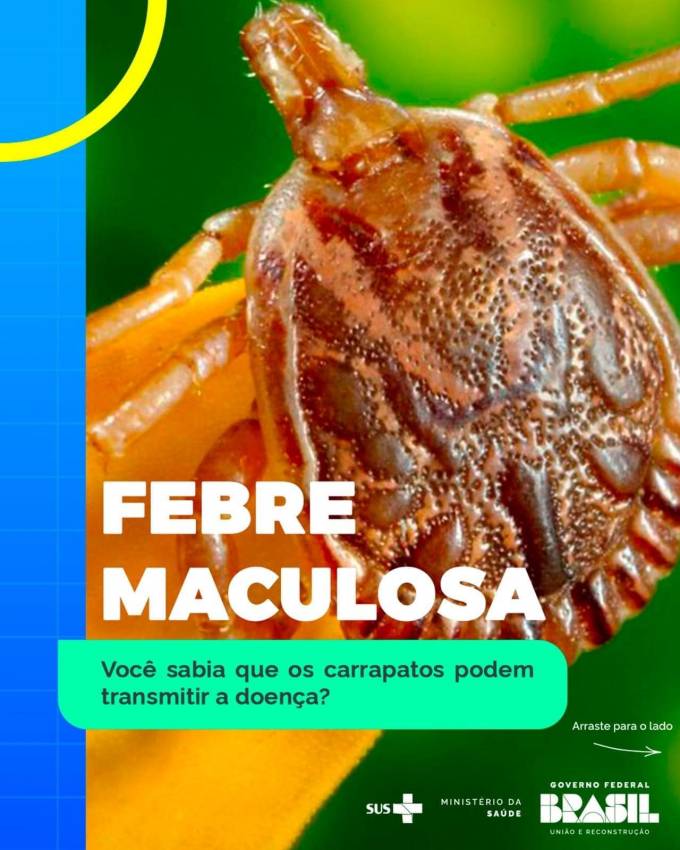 ORIENTAÇÕES SOBRE FEBRE MACULOSA
