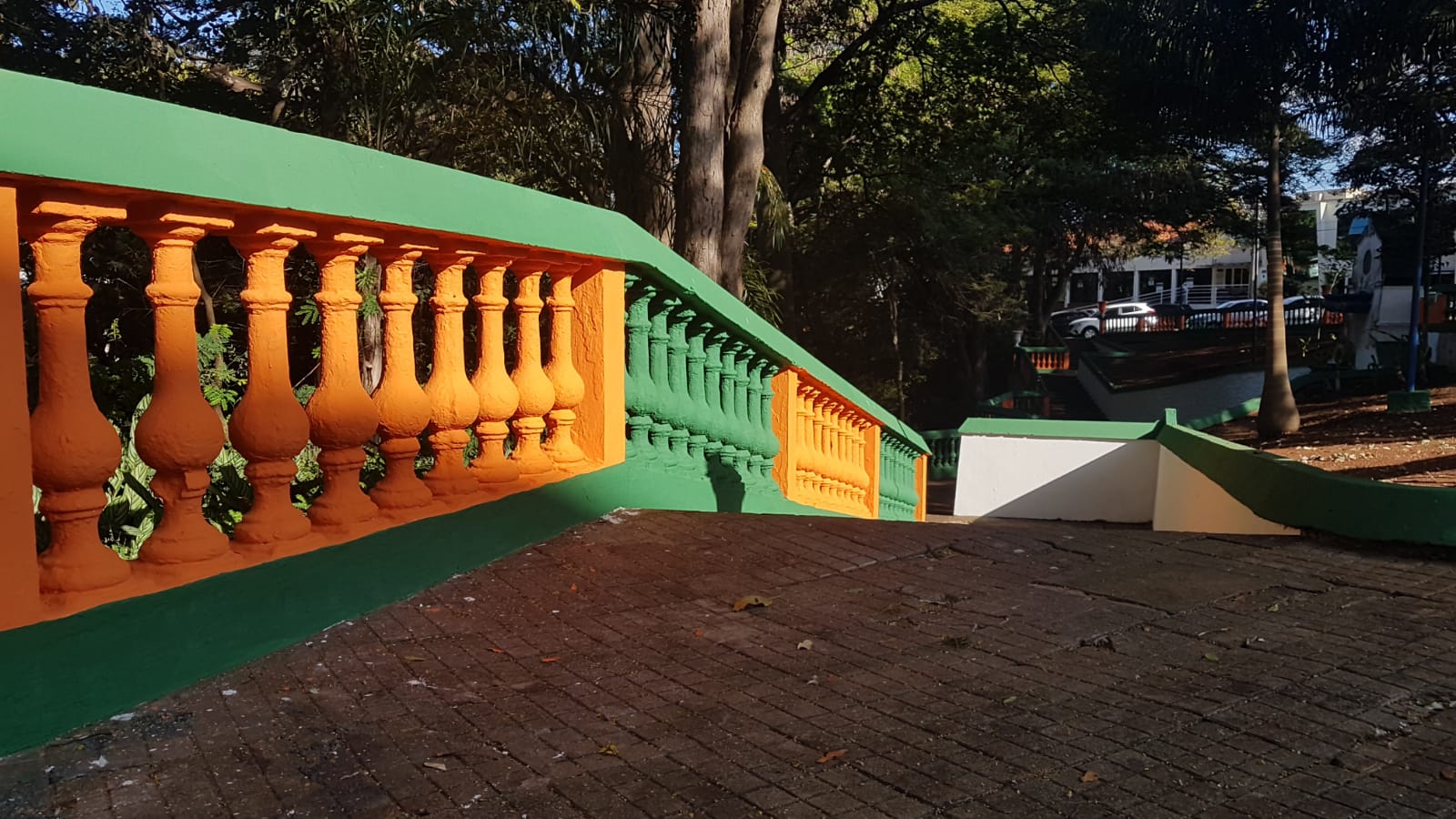 O CANO TORTO TÁ FICANDO LINDO!