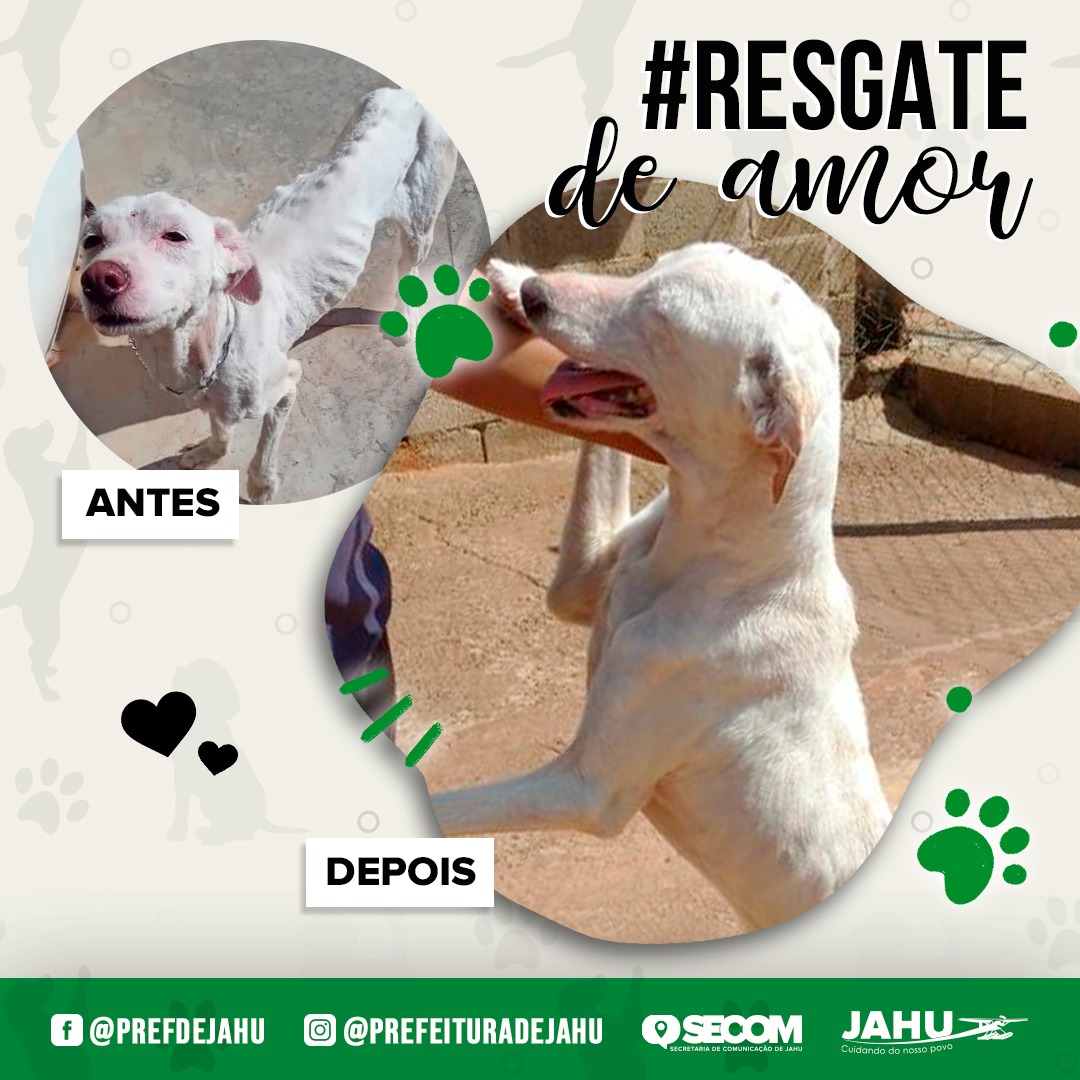 HORA DE TER UM LAR – ADOÇÃO RESPONSÁVEL