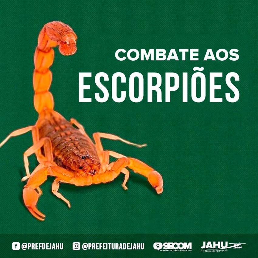 AÇÕES PARA EVITAR APARECIMENTO DE ESCORPIÕES
