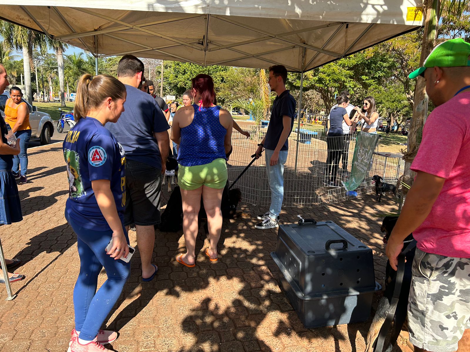 NOVE CÃES ENCONTRAM TUTOR AMIGO DURANTE FEIRA DE ADOÇÃO