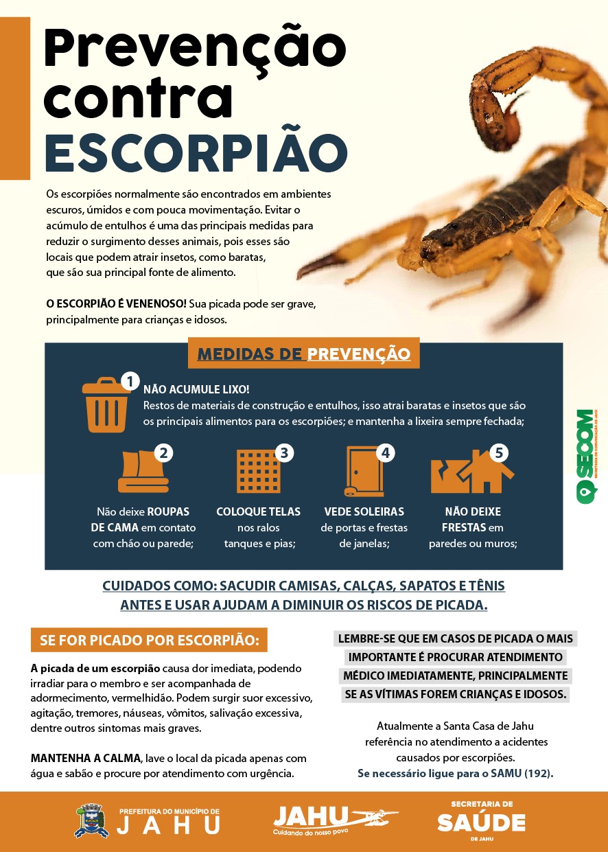 CUIDADOS PARA EVITAR ACIDENTES COM ESCORPIÃO