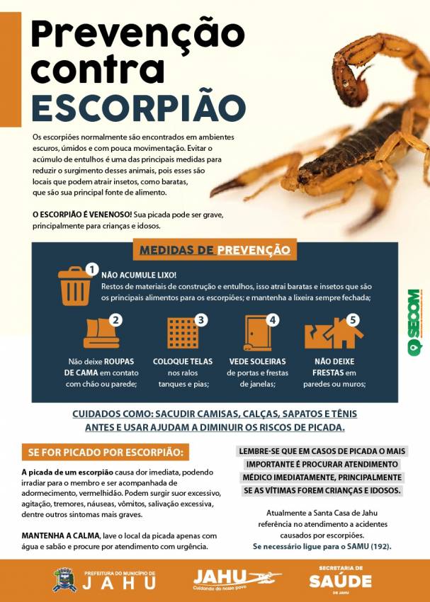 CUIDADOS PARA EVITAR ACIDENTES COM ESCORPIÃO