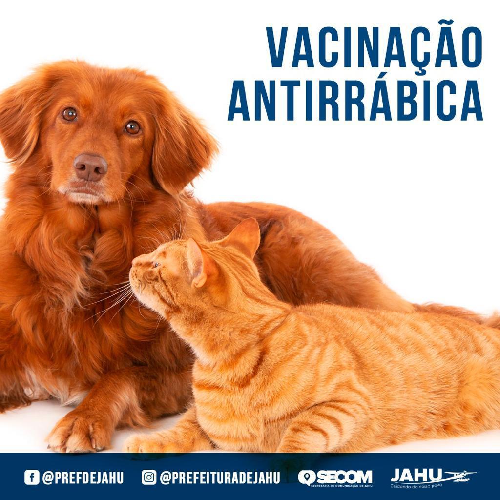 VACINAÇÃO ANTIRRÁBICA - CLÍNICA VETERINÁRIA MUNICIPAL