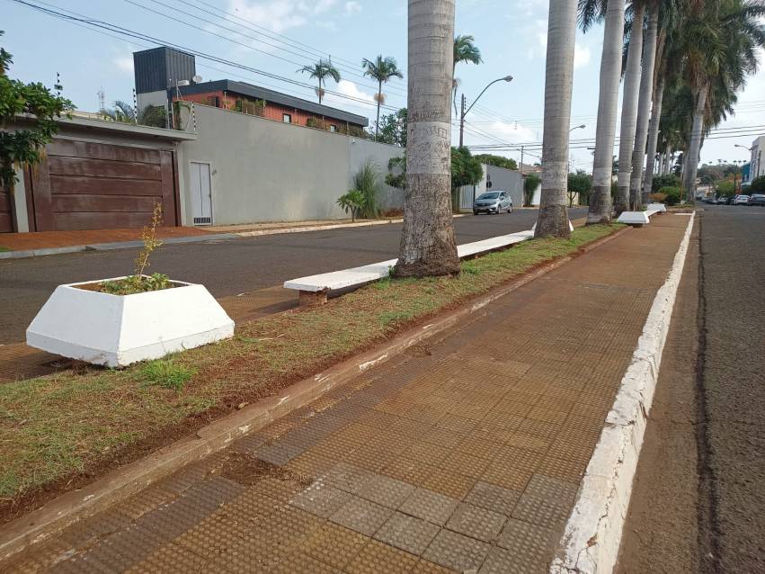 AVANÇAM TRABALHOS DE REVITALIZAÇÃO DA AVENIDA FRANCISCO CANHOS