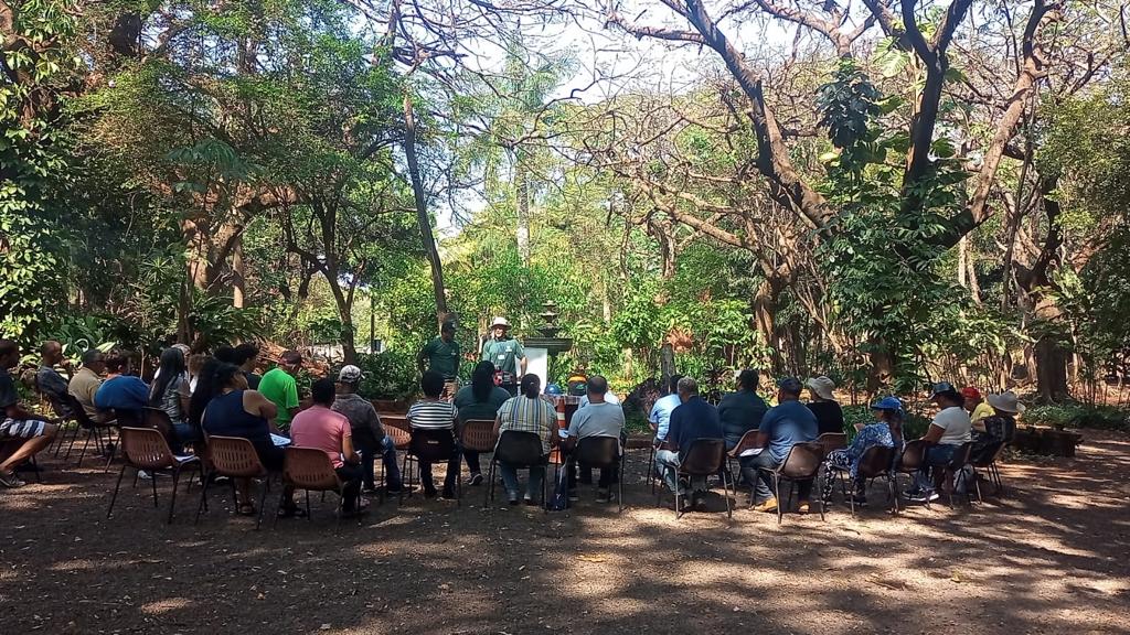 MAIS DE 30 PESSOAS PARTICIPAM DO CURSO DE PODADOR DE ÁRVORE