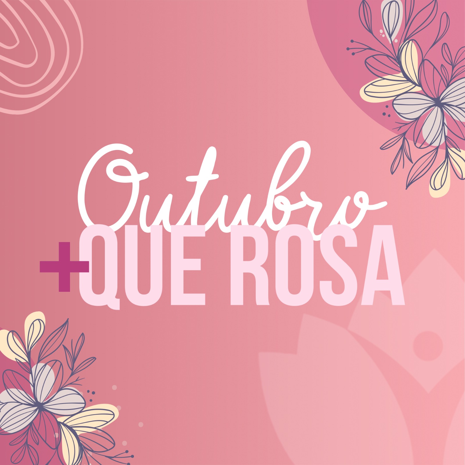 PREFEITURA LANÇA OUTUBRO + QUE ROSA