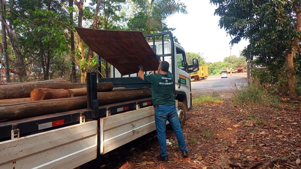 JAHU + LIMPA - BOSQUE CAMPOS PRADO PASSA POR LIMPEZA