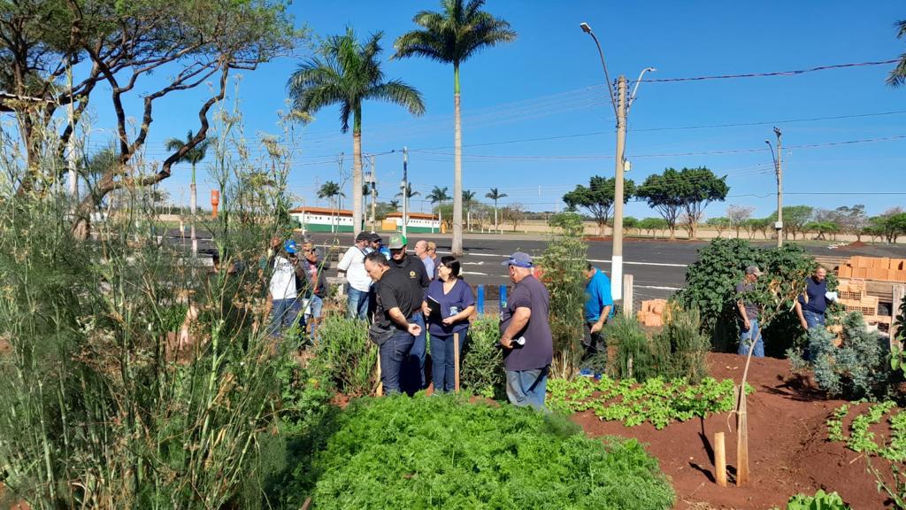 OFICINA DE PLANTAS MEDICINAIS