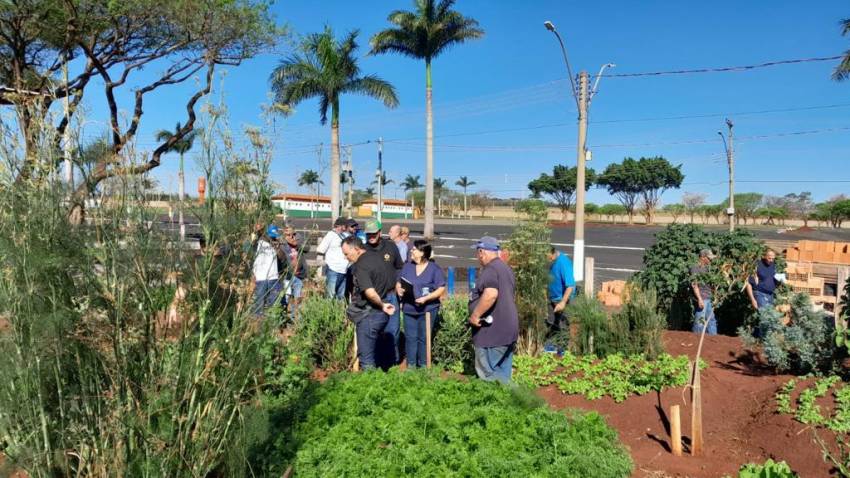 OFICINA DE PLANTAS MEDICINAIS