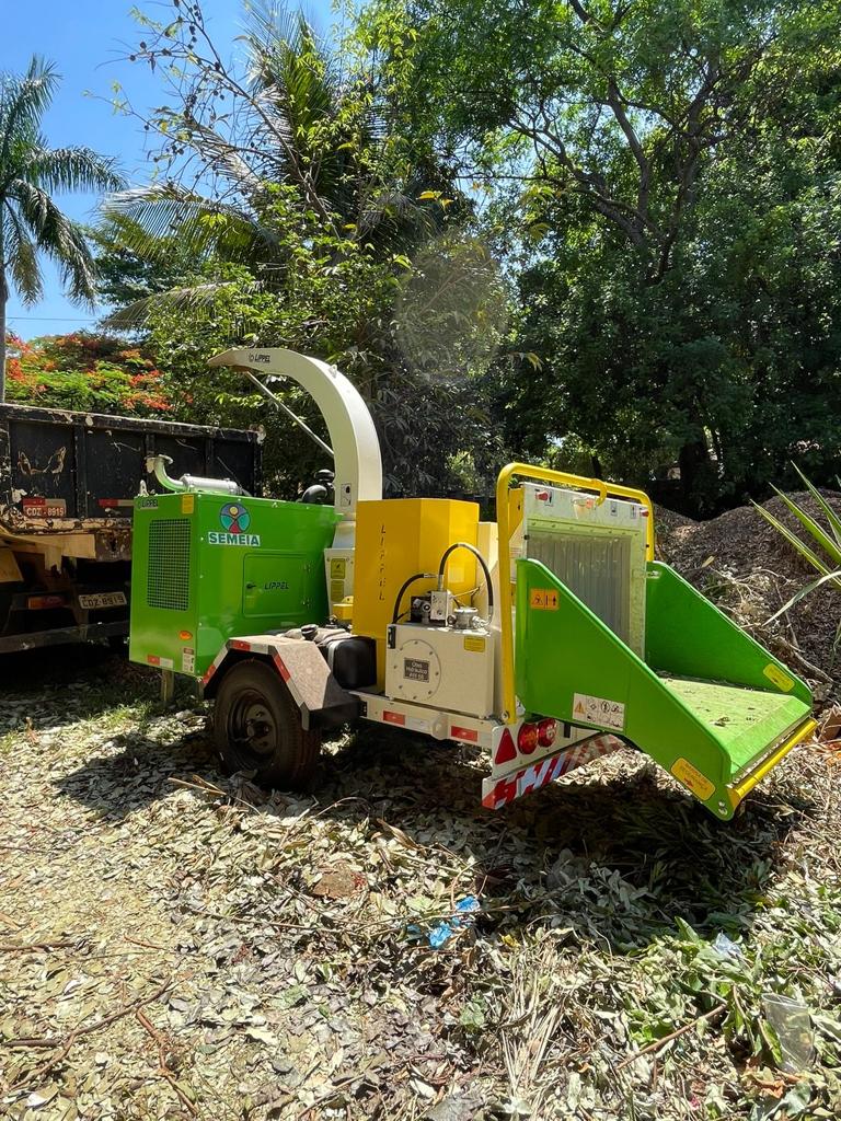 PREFEITURA DISPONIBILIZA MATERIAL TRITURADO DE PODA DE ÁRVORES