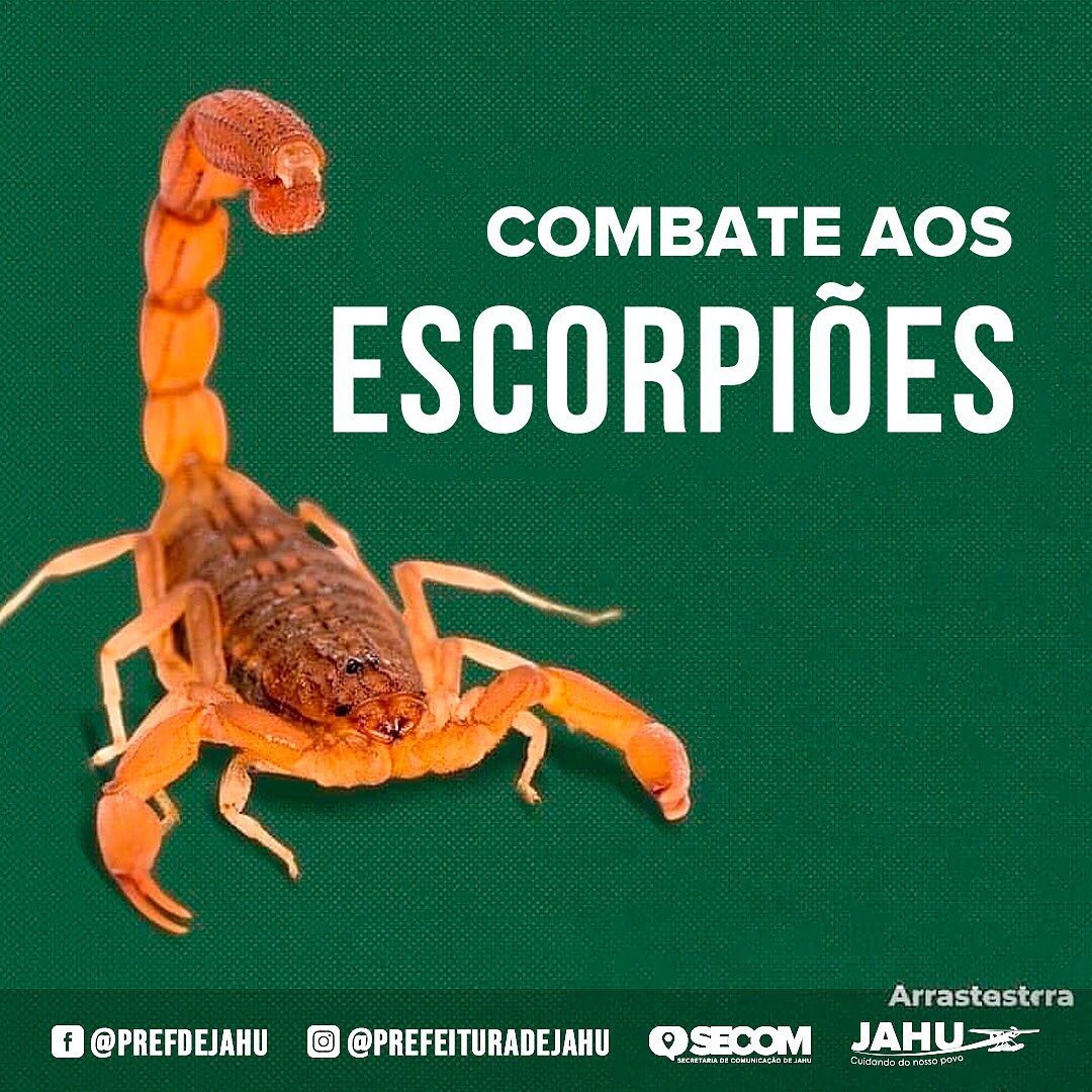 CUIDADOS PARA EVITAR ACIDENTES COM ESCORPIÕES