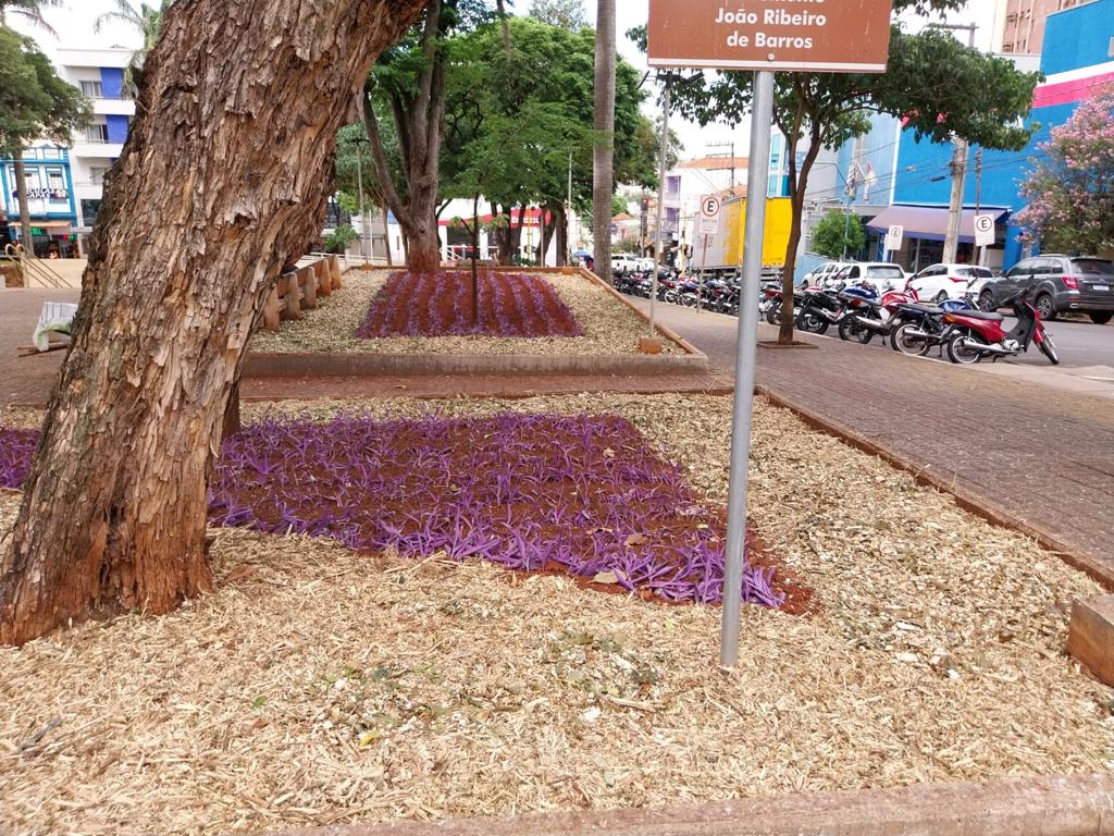 MATERIAL ORGÂNICO É USADO EM CANTEIRO NA PRAÇA DA MATRIZ