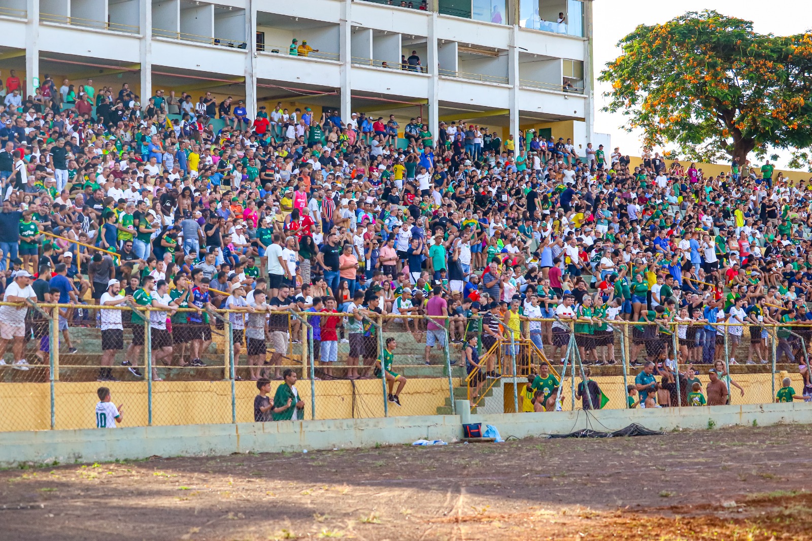 HOJE É DIA DE LOTAR O ZEZINHO MAGALHÃES!