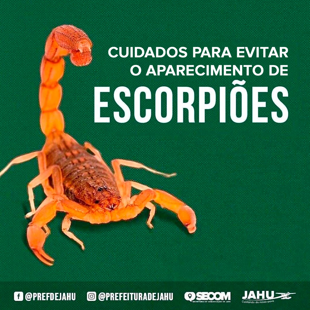 CUIDADOS PARA EVITAR O APARECIMENTO DE ESCORPIÕES