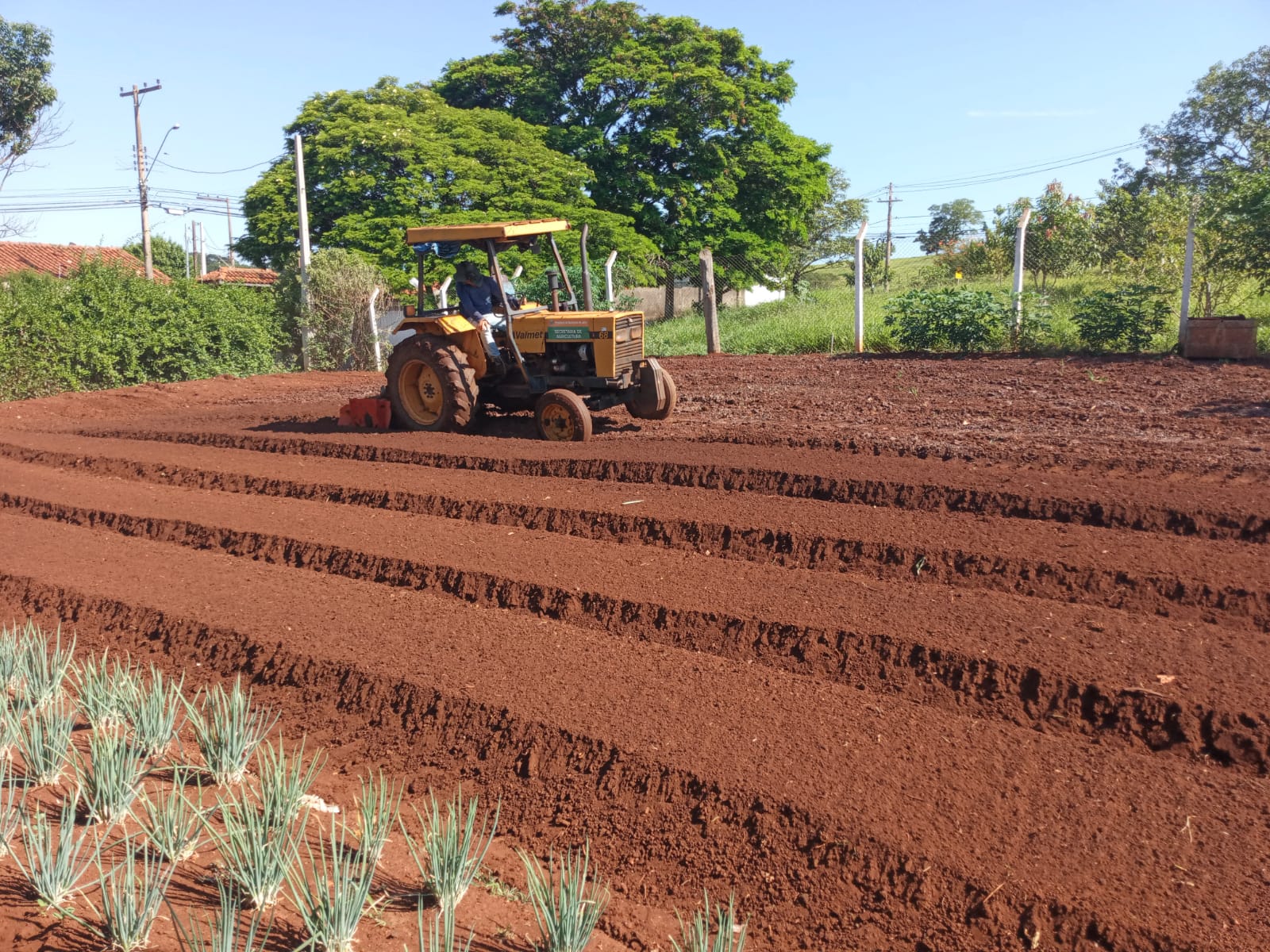 PREFEITURA PROMOVE REVITALIZAÇÃO DA HORTA DO JARDIM SÃO JOSÉ