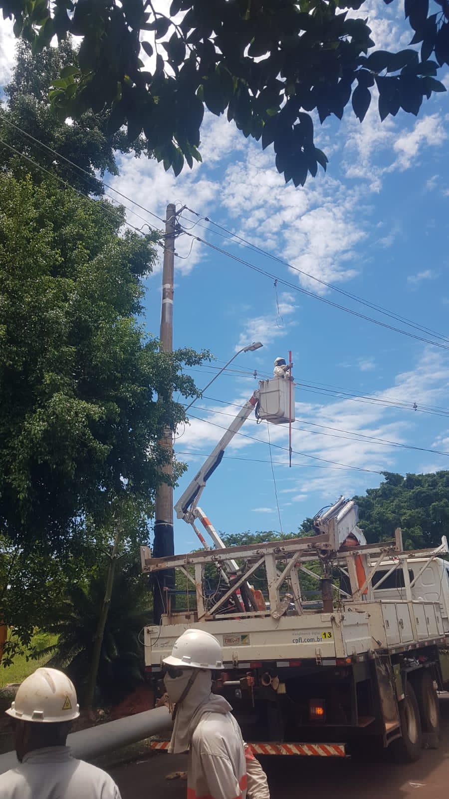 PREFEITURA REALIZA MAIS UM RESGATE DE ENXAME DE ABELHAS